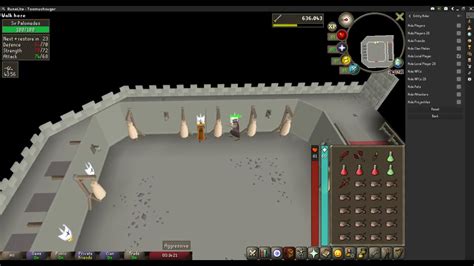 The Knight Waves can be started by talking to a squire standing outside the door of the training room, who will explain how the training grounds work. . Knights waves osrs